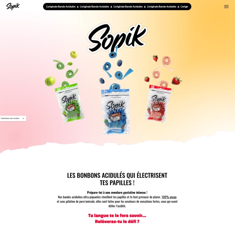 SOPIK — Site qui claque