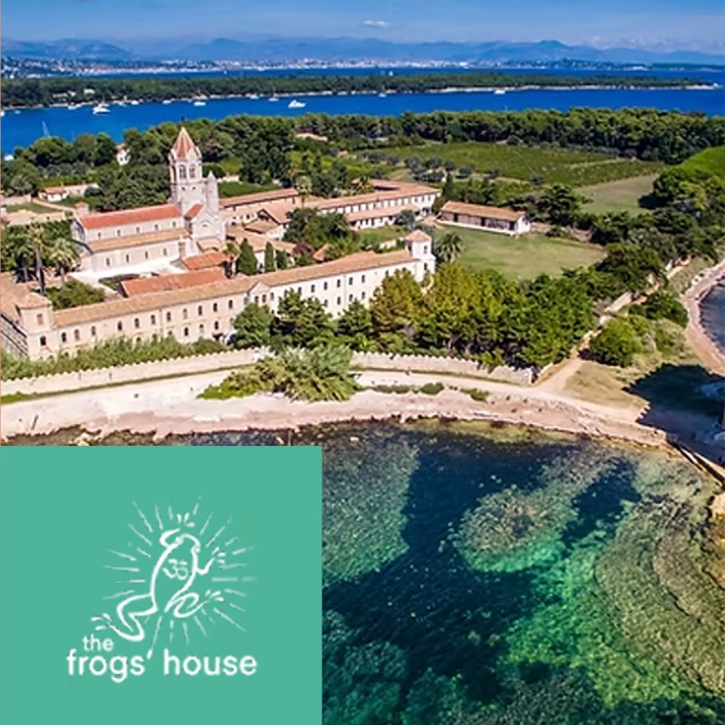 THE FROG’S HOUSE — Site Bien Trouvé